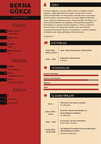 Fizyoterapist Cv Örnekleri cv indir